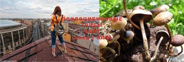 гашик Армянск